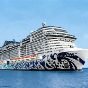 MSC EURIBIA CRUISE